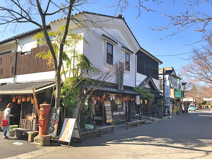 ヤマックスyamax新築炭の家阿蘇神社お花見と馬ロッケ5.jpg