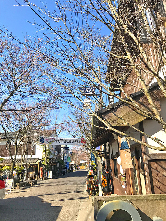 ヤマックスyamax新築炭の家阿蘇神社お花見と馬ロッケ6.jpg