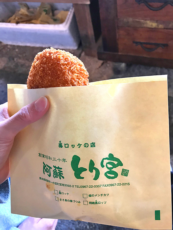 ヤマックスyamax新築炭の家阿蘇神社お花見と馬ロッケ7.jpg