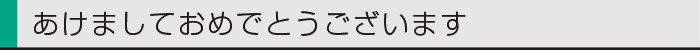 ヤマックスyamax新築熊本styledesign炭の家新年0.jpg